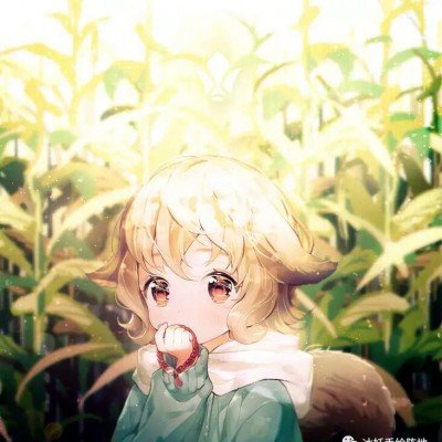美股三大股指低开 芯片股集体下挫